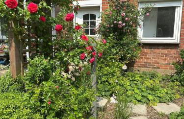 Reiterkraftquelle - Auszeit im Naturpark Westensee zwischen Seen und Ostsee - Foto 21