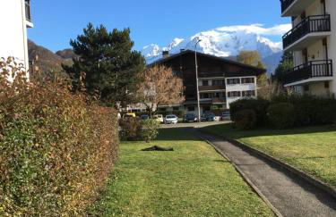 MONT BLANC HOLIDAYS dans résidence avec Gardien - Foto 18