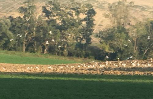 Agriturismo Fattoria del Colle - Foto 13