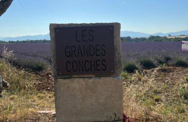 Les Grandes Conches - Foto 21