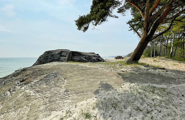 4 Person Holiday Home in Hammenhog-by Traum - Foto 10