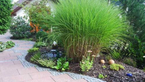 Ferienwohnung Himmelsbach - Photo 3