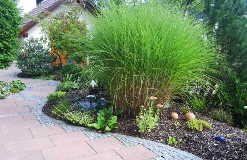 Ferienwohnung Himmelsbach - Photo 3