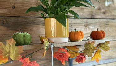 Miss Francis Horse Wagon Sleeps up to 5 - Foto 5