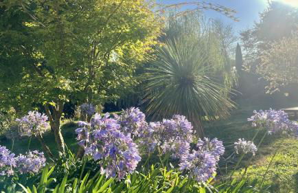 Kercolette, maison avec piscine non chauffée proche des plages - Foto 45