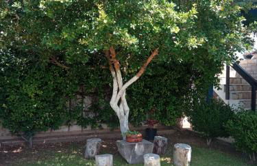 Efi Pool & View Alepochori i - Foto 6