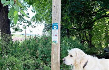 The Stables at The Forge - Cosy Cottage with Log Burner on S Downs Way, nr Brighton - Foto 36