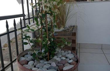 LimonoSpito - Photo 38