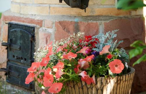 Winzerhof Wörner - Foto 6