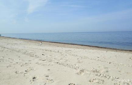 Blue Mare Rac - Foto 36