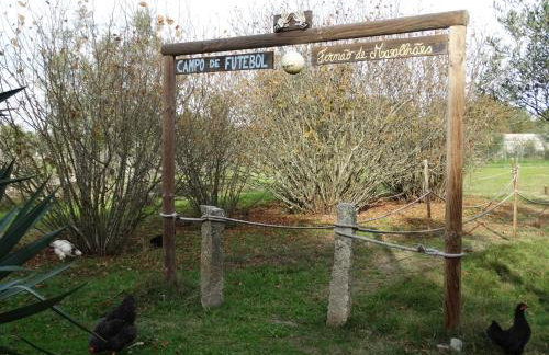 Casa Das Palmeiras-Pedagogic Farm - Foto 67