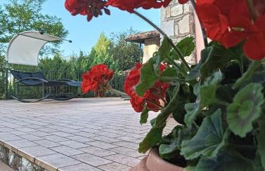 Appartamento Vacanze Il Daino - Foto 10