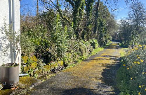 Pond Cottage - Foto 13