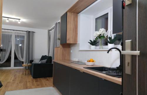 nowy Apartament Willa Sowia z widokiem na Śnieżnik - Foto 8