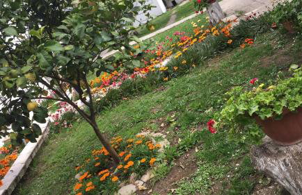 Venus Sea View Apartment - Foto 22