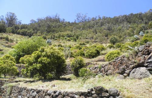 Villa Luz - Family House Vacations- Large Private Outdoor Area - Foto 35