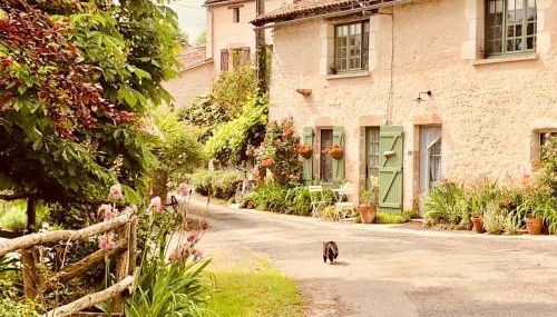 Bois Mort farm - Foto 4, Garden