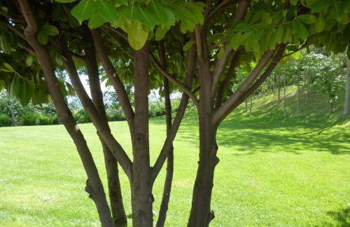 Agriturismo Vivace - Foto 5