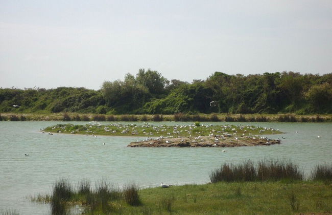 Charming Holiday Home in the Baie de Somme - Foto 22