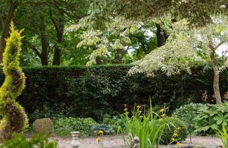 Nest Stay By The Butler Collection - Foto 47