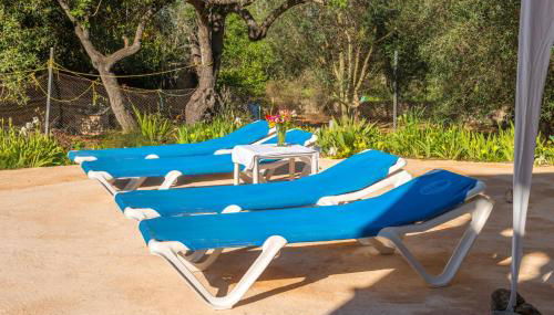 Ses Roques - Foto 5, Garden