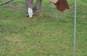 Auszeit an der Aisch - Foto 24