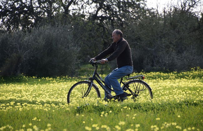 Son Mercadal - Foto 22