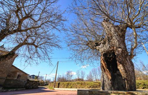 Casas Rurales San Justo - Foto 7