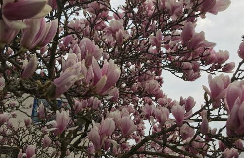 Ferienhaus Heil - Foto 47