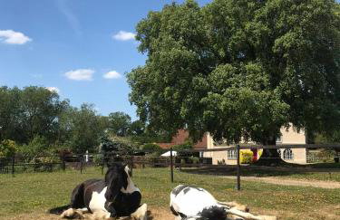 Farmhouse Retreat with Hot Tub, Pool, Horses, Games Room, Free Car Park, Only 45 min from Oxford Circus - Foto 56