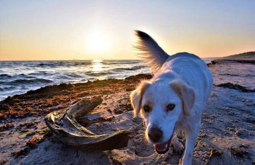 Haus Am Strand - Foto 12