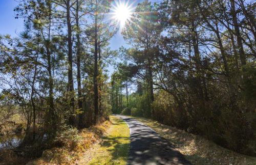 7585 - Roanoke Island Retreat - Foto 78