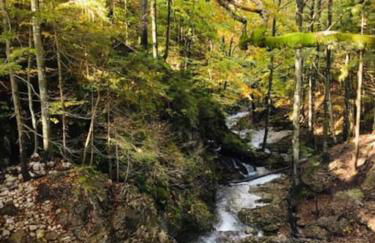 Bett & Berge - Ferienwohnung in den Schlierseer Bergen - Foto 25