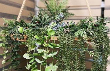 Pension Lavendel - Foto 21