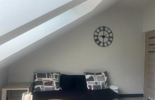 Apartamenty Terminal Charzykowy - Foto 24