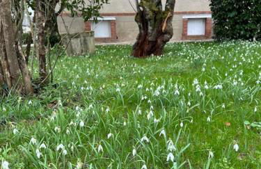 La Maison d'Elise - Gîte 4 épis - Foto 6