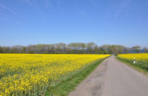 Katharinenhof "Sunny" - Foto 30