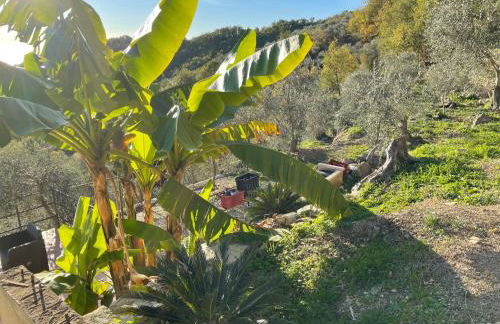 Holiday Home Bellaria - VLO190 by Interhome - Foto 38