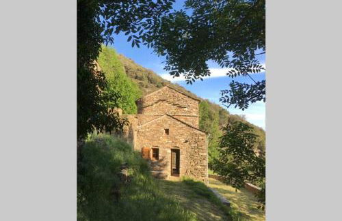 La Pellegrine, Parc national des Cévennes - Foto 3