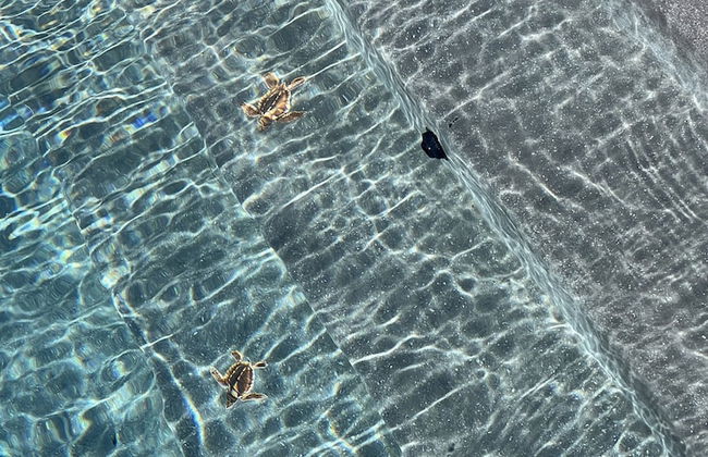 Mango Bay Resort - Foto 17