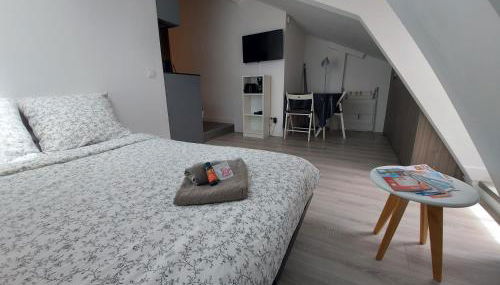 Centre de Nice : Studio rénové, climatisé et calme - Foto 3