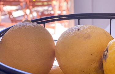 NICOL's HOUSE - Foto 9