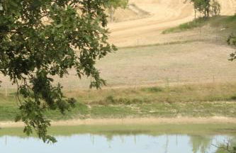 Gîte - La Couderquié - Foto 20