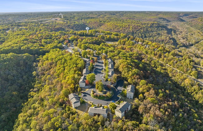 Stonebridge Village Resort - Foto 1