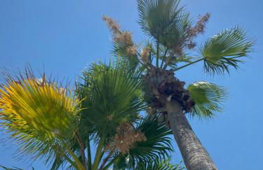 Apartament En La Sombra - Foto 34