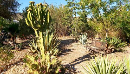 Relax y Descanso - Foto 4, Garden