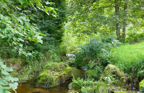 Alte Muehle - Foto 21