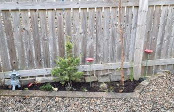 The Shelter Stone Cottage - Foto 28