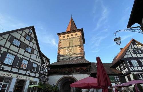 Coucou - Nest im Schwarzwald - Foto 18