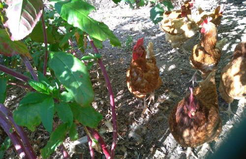 "Country House il Brolo" - Foto 41